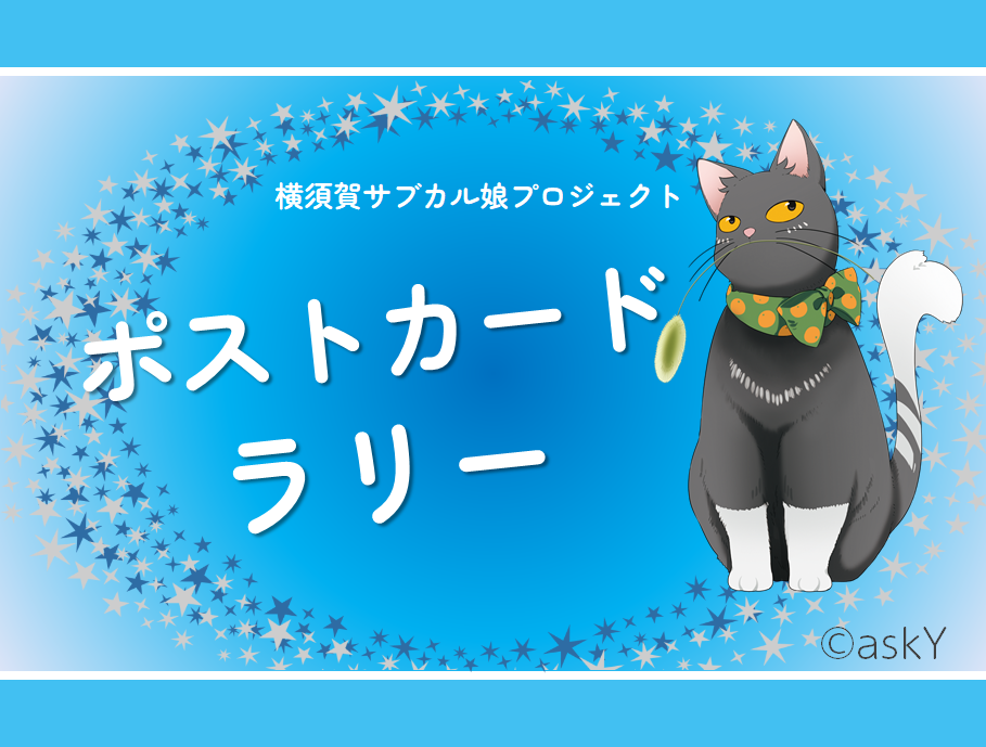 宅配便送料無料 オリジナル ポストカード 絵葉書 猫※商品番号A-2 ポストカード ねこ① 絵はがき 絵ハガキ 猫 ネコ グリーティングカード 未使用